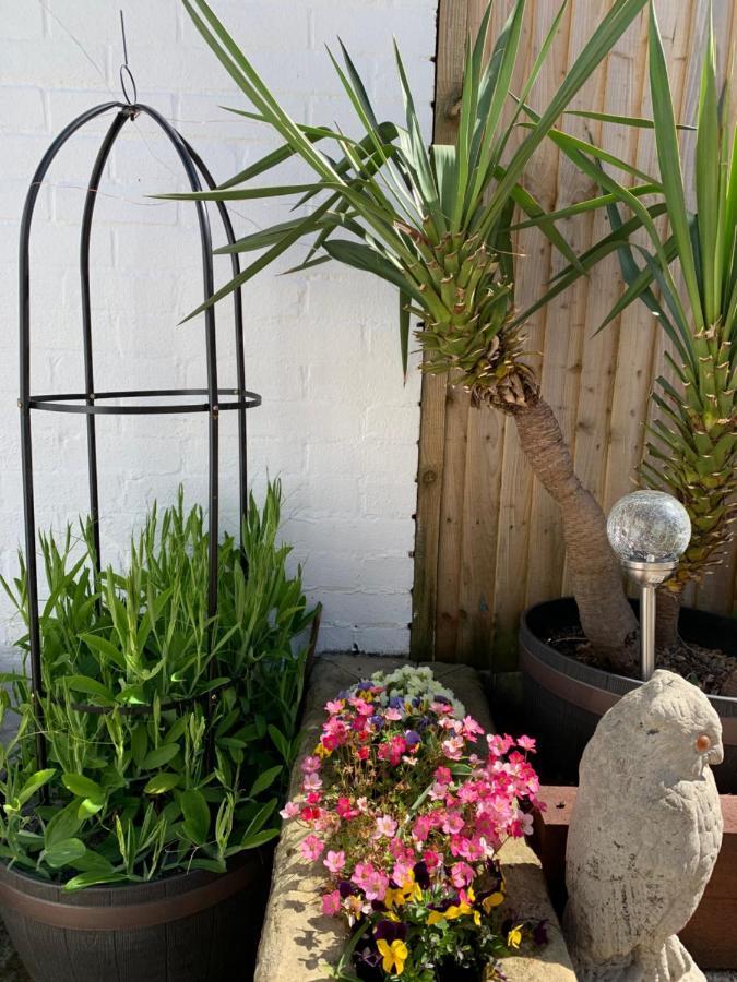 Oriel Cottage Pevensey Εξωτερικό φωτογραφία